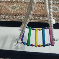 تاب پرنده