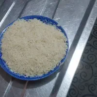 برنج ع طارم هاشمی