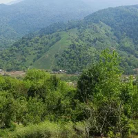 زمین-با-چشم-انداز-بی-نظیر-در-املش