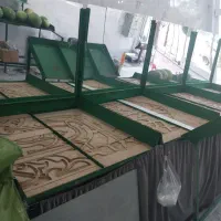 پالت میوه فروشی(رگال)