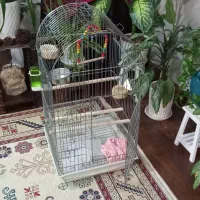قفس پرنده