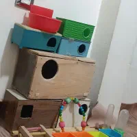 لوازم پرنده لونه آبدون غذادون تاب نردبون آقل