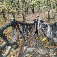 آموزش زبان چینی به صورت آنلاین و آفلاین