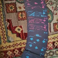 سایبر پانک پاسور