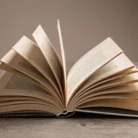 کتاب شنیون موی زنانه