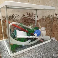 فروش آکواریوم با تمام وسایل