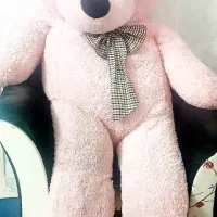 خرس صورتی بزرگ