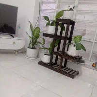 استند گل