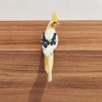 جوجه عروس هلندی