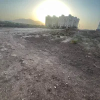 2 قطعه ۸قصبی (رضوان)