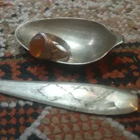 انگشتر و قاشق زیر خاکی