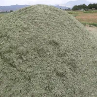 بیده - یونجه خرد شده