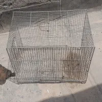 قفس پرنده سالم