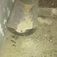آخور گوسفندی