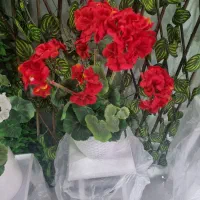 انواع گل و گلدان مصنوعی و درختچه های مصنوعی ای