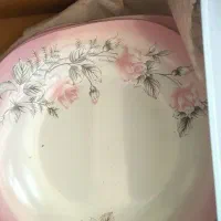 سرویس ارکوپال نو