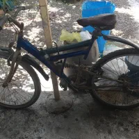 دوچرخه