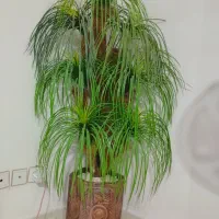 گل مصنوعی