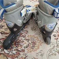 اسکیت حرفه ای