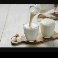 بز سانن باخرز