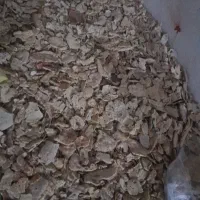 نان خشک گوسفندی