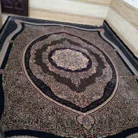 قالی|فرش|رفسنجان, |دیوار