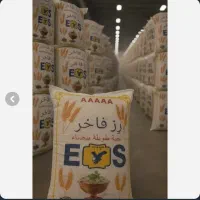 تایلندی رز فاخر ارسالی از کرمانشاه