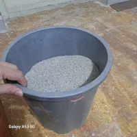 شن عربی