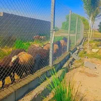 توری فنس و پایه بتنی