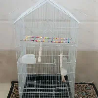 قفس پرنده