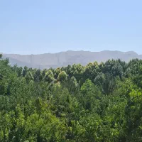 منزل-ویلایی-کوچه-اصلی-ارم