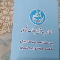 پامر اشپیتز ماده