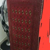 پشتی پاکستانی یک جفت