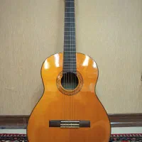 گیتار کلاسیک c70