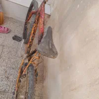دوچرخه 26|دوچرخه، اسکیت، اسکوتر|کبودرآهنگ, |دیوار