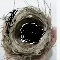 قناری