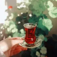 چای ممتاز شمال