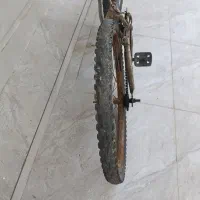 دو عدد دوچرخه یکعدد شماره بیست ویکی 24میباشد