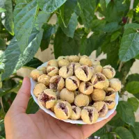 انجیر وزعفران  استهبان