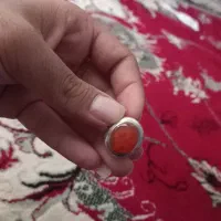 نگین|جواهرات|زابل, |دیوار