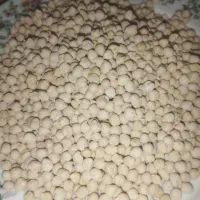 نخود و لپه  نو محلی درجه یک