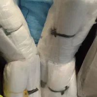 تور خرما