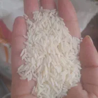 سبزی قرمه سبزی محلی شمال