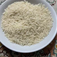 برنج طارم هاشمی امساله
