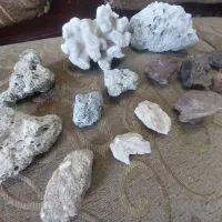 سنگ مرجان آکواریوم