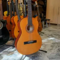 گیتار پارسی m2 فروشگاه طنین موزیک
