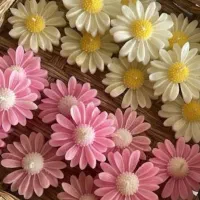 شمع بابونه هر ۱۲ تا ۳تا رایگان
