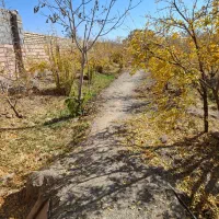 نیازمند پرستار برای سالمند خانم شبانه روزی