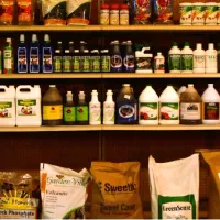 شرکت سمپاشی موریانه ترده ساس موش سوسک گال بیدقالی