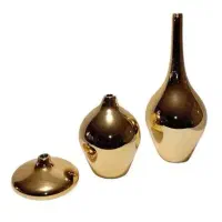 سالونگه سالم و نو